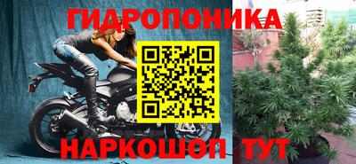 мяу мяу мука Камень-на-Оби