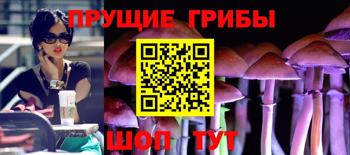 Псилоцибиновые грибы мухоморы  Вход с VPN  Орехово-Зуево 